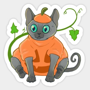 Pumpkin Cat Sticker